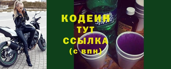 индика Вязьма