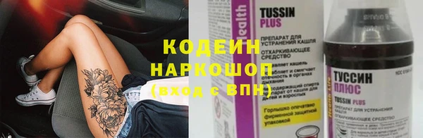 индика Вязьма