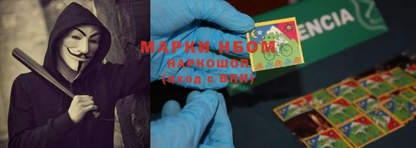 индика Вязьма