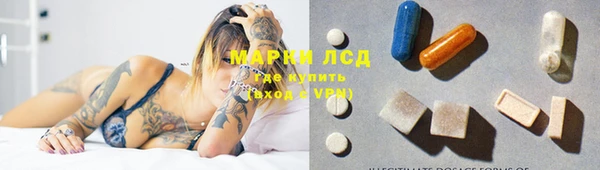 индика Вязьма
