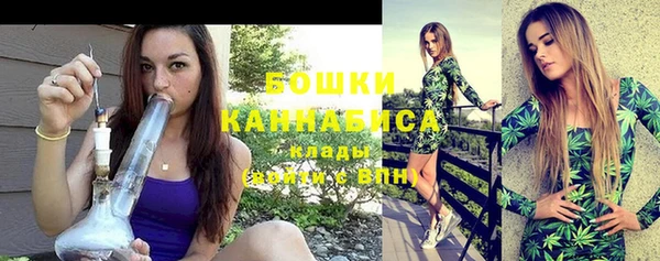 индика Вязьма