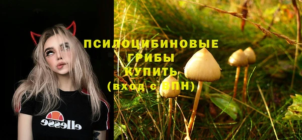 наркотики Вяземский