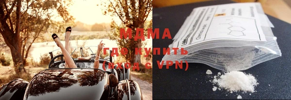 индика Вязьма