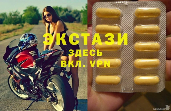 индика Вязьма