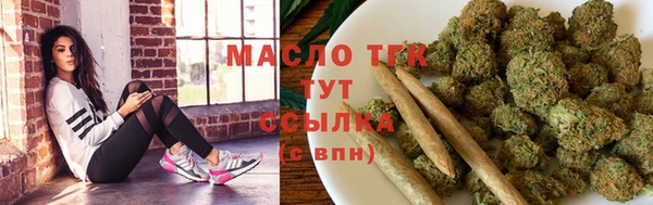 индика Вязьма