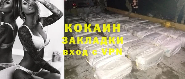 индика Вязьма